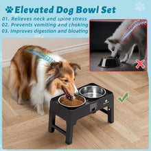 Load image into Gallery viewer, GUUSII HOME Raised Dog Bowl with Stand Elevated Feeding Station Feeder Large

