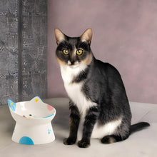 Load image into Gallery viewer, Cute Ceramic Raised Cat Bowls Elevated Design, 15° Tilted Feeder Protect Cat's
