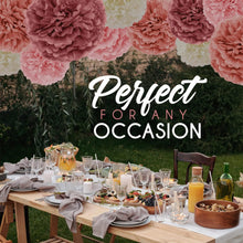 Load image into Gallery viewer, EpiqueOne 20 Piece Tissue Paper Pom Poms Blush Pink, Dusty Rose, Mauve &amp; Cream
