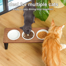 Load image into Gallery viewer, GUUSII HOME Raised Cat Bowl with Stand Kitty Dish Ergonomic Elevated Feeding
