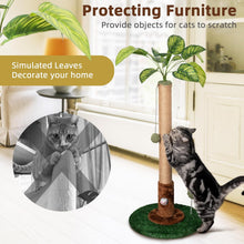 Load image into Gallery viewer, Meowoou Cat Scratching Post, 81 cm Tall Scratch Post for Cats with Sisal Rope
