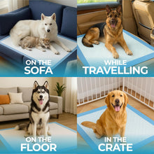 Load image into Gallery viewer, Extra Large Puppy Pads 90 x 70 cm, Pack of 60, 6-Layer Puppy Training Pads, Pee Pads for Dogs Potty with Leak-Proof Quick-Dry Design
