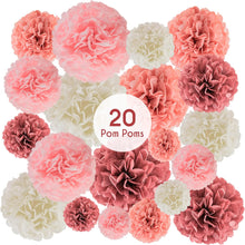 Load image into Gallery viewer, EpiqueOne 20 Piece Tissue Paper Pom Poms Blush Pink, Dusty Rose, Mauve &amp; Cream
