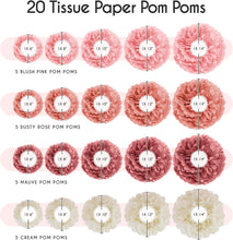 Load image into Gallery viewer, EpiqueOne 20 Piece Tissue Paper Pom Poms Blush Pink, Dusty Rose, Mauve &amp; Cream

