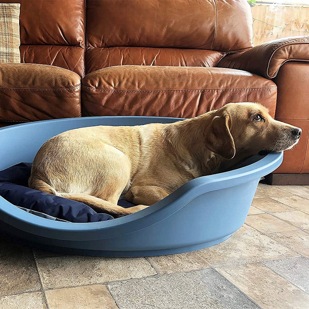 Rosewood EcoLine Dog Bed Plastic Heavy Duty Hygienic Non Slip Base ven www.cheers97
