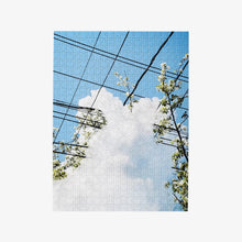Load image into Gallery viewer, Puzzle in Puzzle (Spring), Areaware, 500 pieces CHALLENGING
