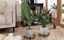 Load image into Gallery viewer, 2 Pack Plant Caddy Indoor Outdoor Trolley - Plant Stands with 360°Lockable Caste
