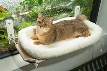 Load image into Gallery viewer, PEFUNY Cordless Folding Cat Window Perch, Cat Hammock for Window and Wall
