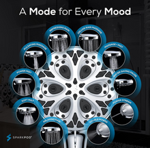Load image into Gallery viewer, 10 Spray Setting Shower Head High Flow Filtered Shower Head, Stainless Hose
