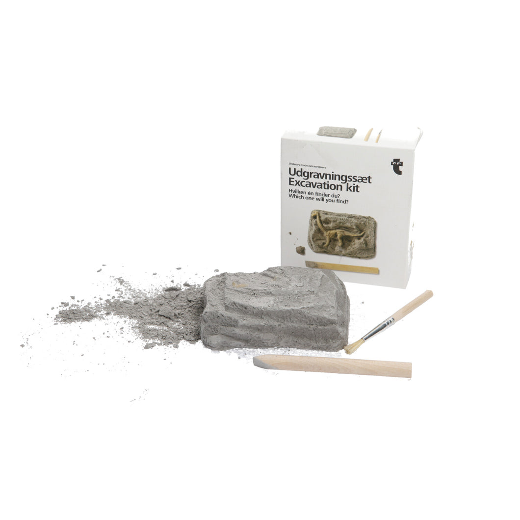 Dinosaur Excavation Kits Dinosaurs. Kids. Teens. collectables. science