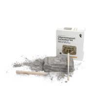 Load image into Gallery viewer, Dinosaur Excavation Kits Dinosaurs. Kids. Teens. collectables. science

