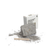 Load image into Gallery viewer, Dinosaur Excavation Kits Dinosaurs. Kids. Teens. collectables. science
