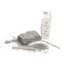 Load image into Gallery viewer, Dinosaur Excavation Kits Dinosaurs. Kids. Teens. collectables. science
