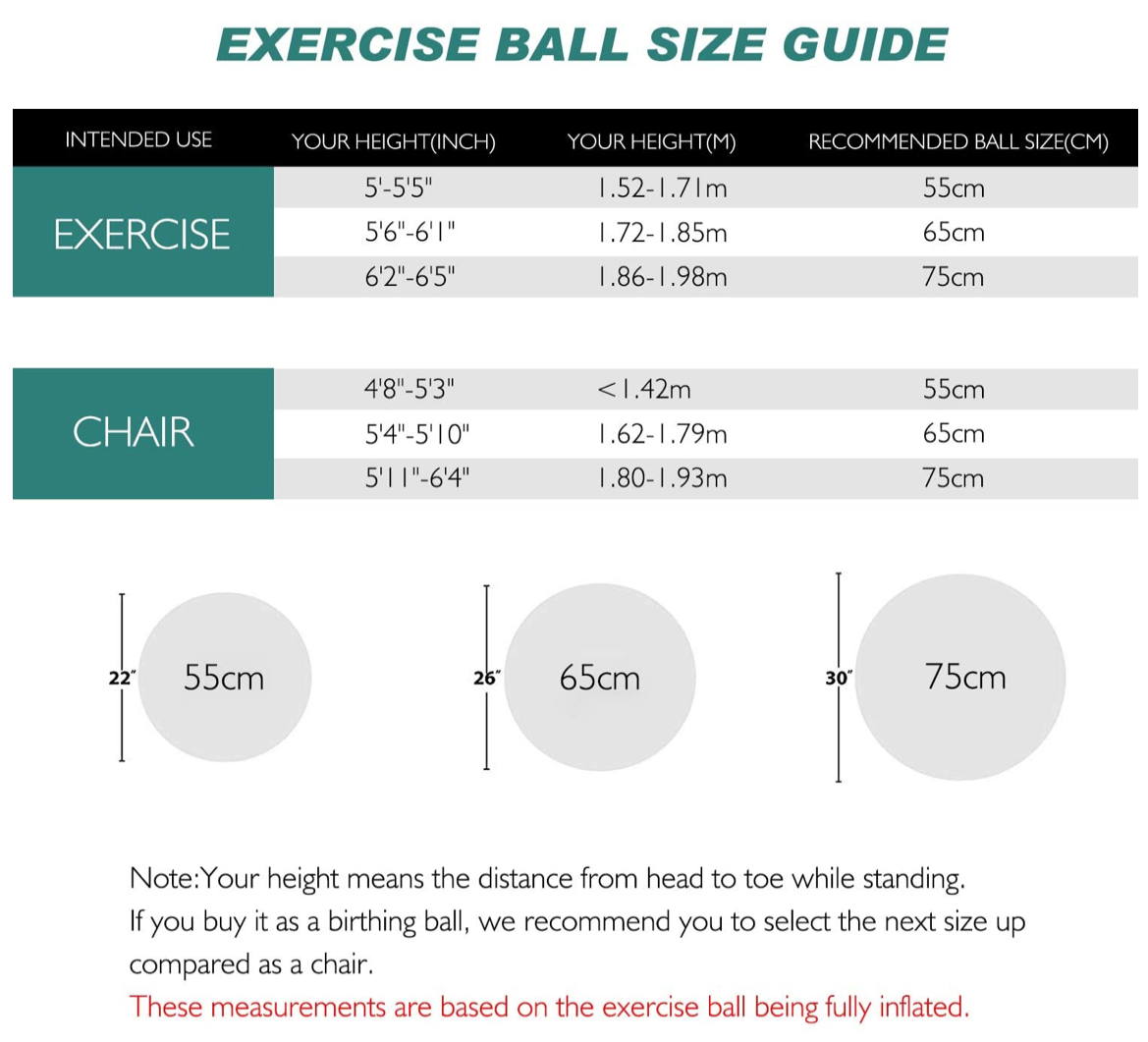 TOPLUS Exercise Ball Gym Ball Supports Yoga Ball Anti Burst Extra Thick Ball